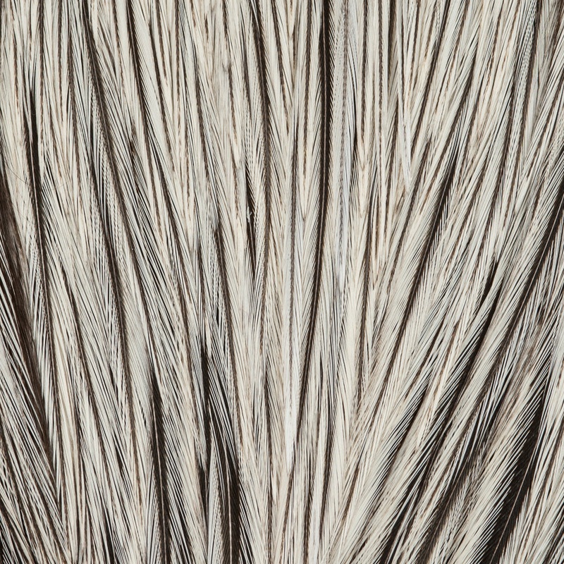 Metz Neck #1|Badger|Black|Cream|Dun|Light Blue Dun|Variant|White Splashed|Brown