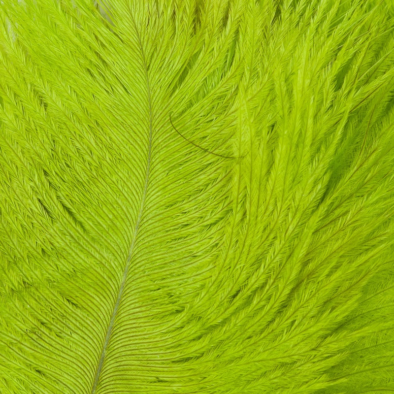 Ostrich Marabou|Fl  Chartreuse|Tan|Purple|Olive|Sand|Black|White