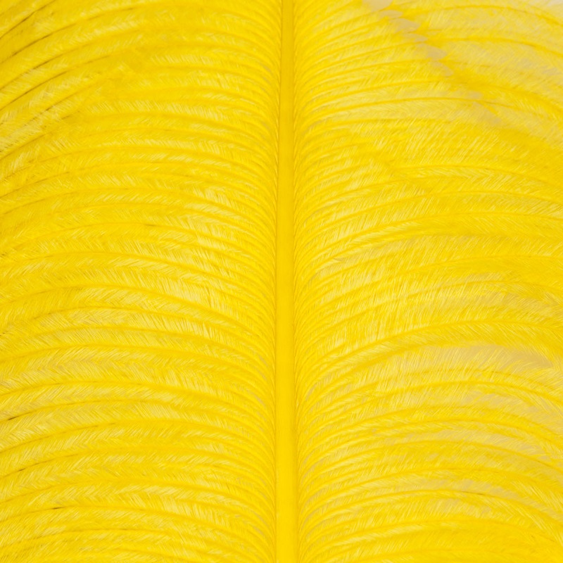 Ostrich Plumes|Yellow|Orange|Red|Fl Pink|Pink|Chartreuse|Purple|Ginger|Tan|Brown|Olive|Dun|Gray|Black|White