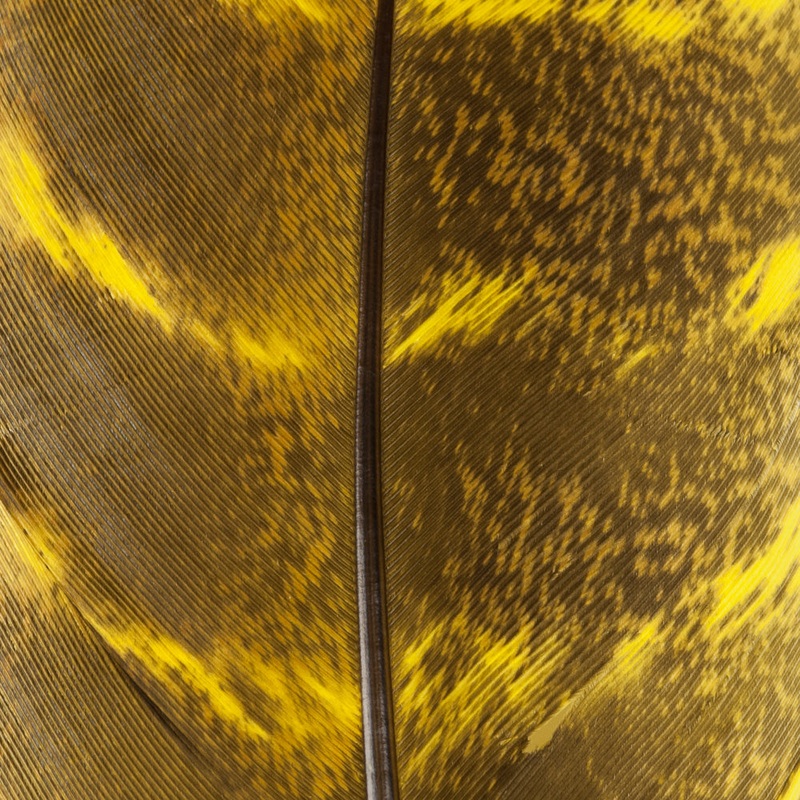 Ozark Turkey Quill|Hopper Yellow|Stone Brown|Olive|Cricket Black|Muddler|Hares Ear|Chartreuse