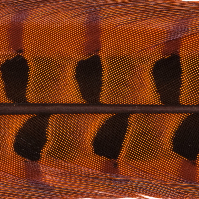 Pheasant Tail|Orange|Bleached Ginger|Red|Olive|Black|Natural Cock|Dun|Light Olive|Blue|Purple