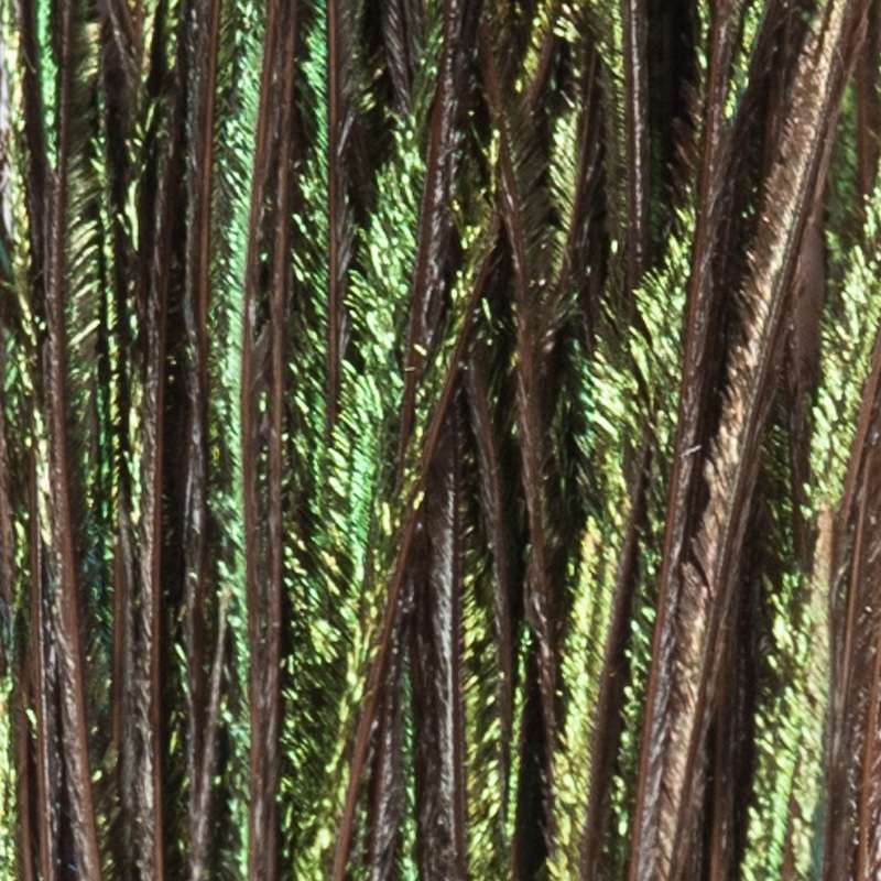 Peacock Herl – Natural, Strung