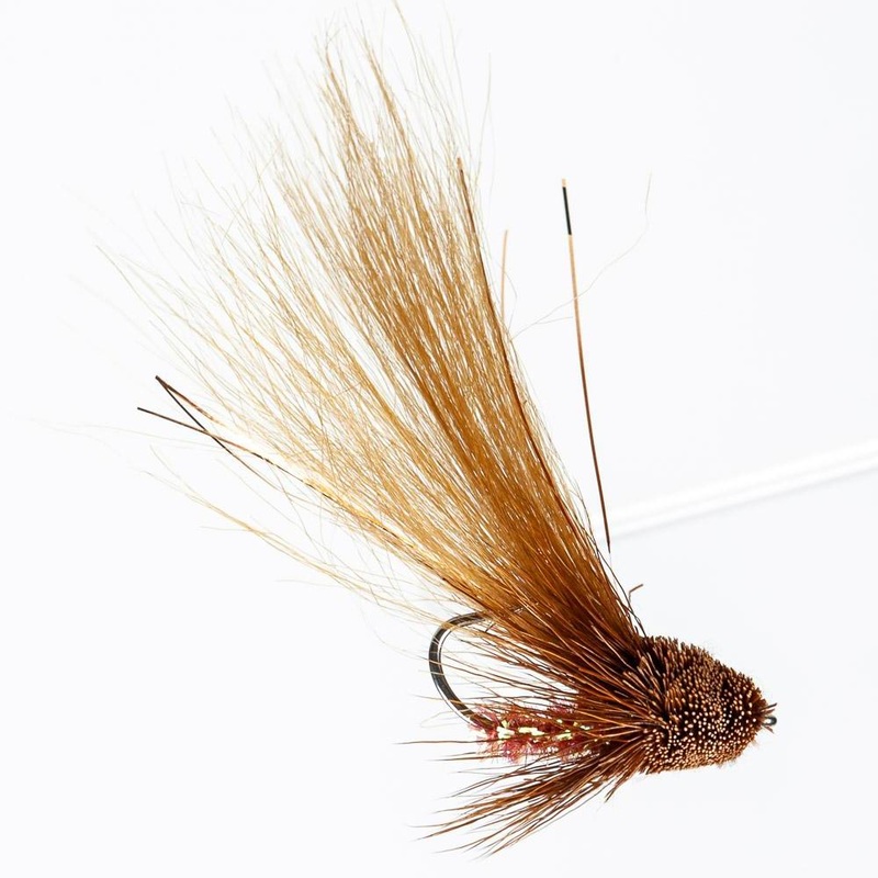 Chicos River Shrimp|Brown|Tan|Black||2