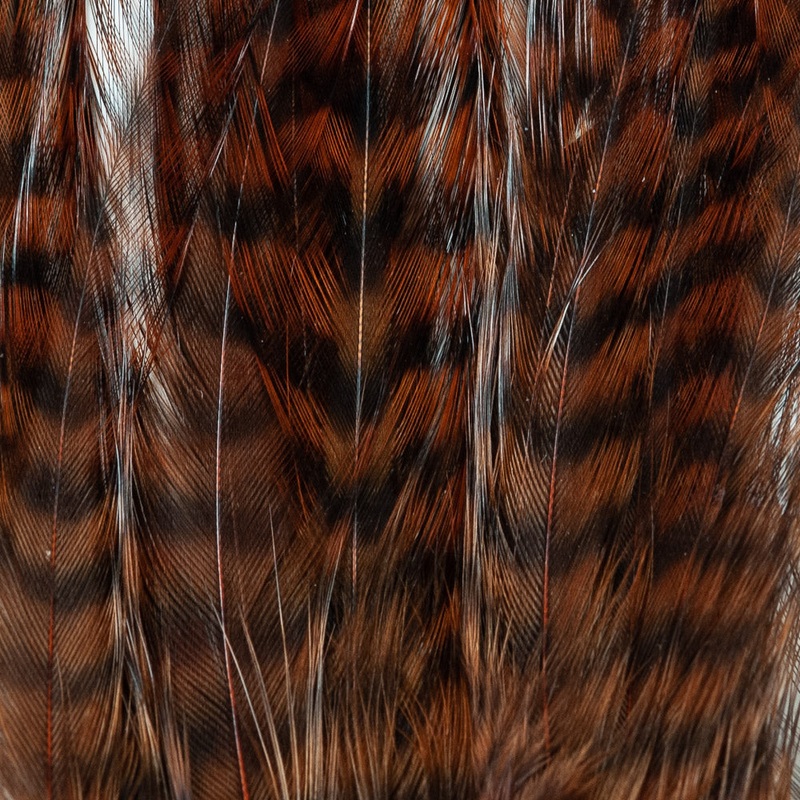 Dry Fly Hackle Pack|Brown/Grizzly|Brown|Natural/Grizzly|Dun|Olive/Grizzly|Bleached/Grizzly|White/Cream|Black|Small|Medium|Large