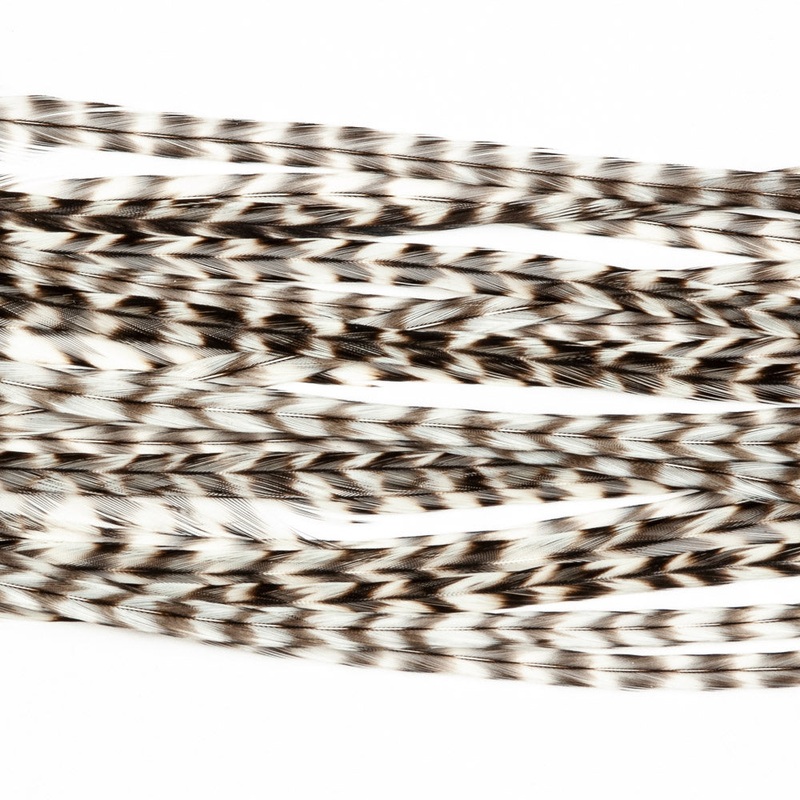 Whiting 100 Fly Pack|Grizzly|Brown|Dun|Black||12||14||16||18