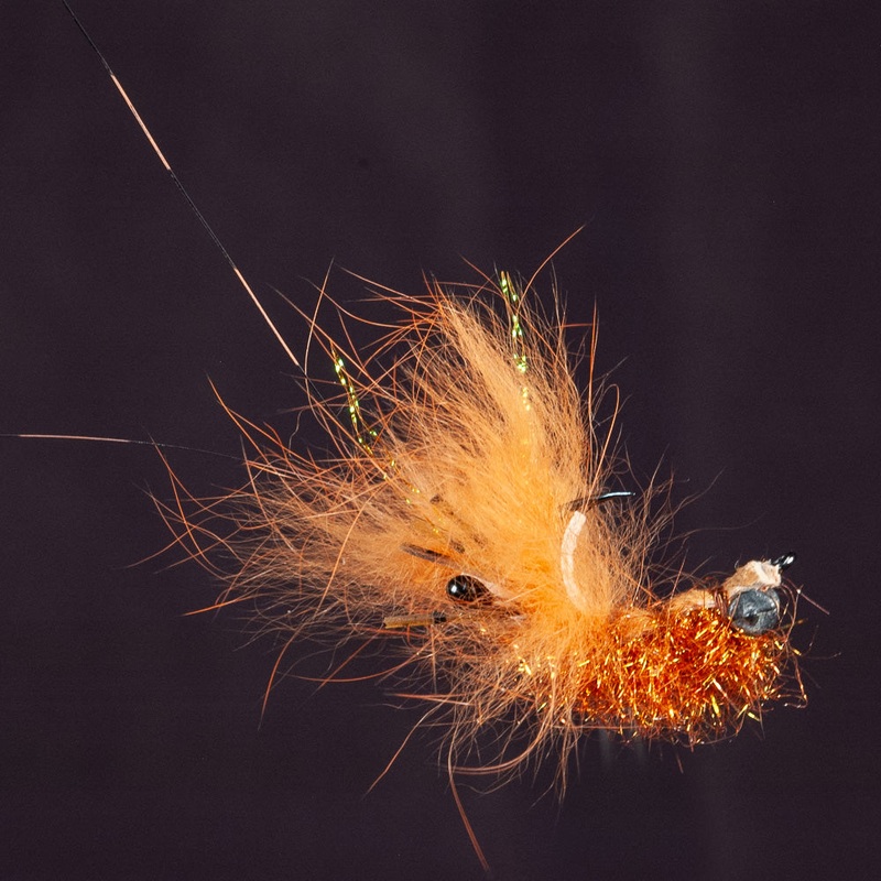 Cray Cray|Rust|Tan||10||6