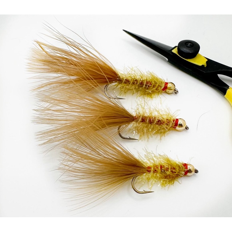 Golden Retriever|10|8|6