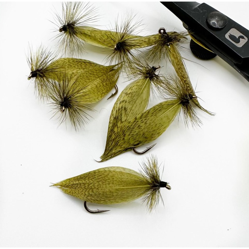 Hornberg Olive|8|10|12