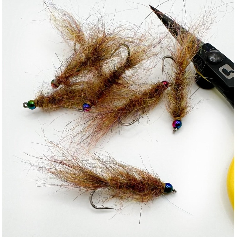 Olive Leech Simi seal|8