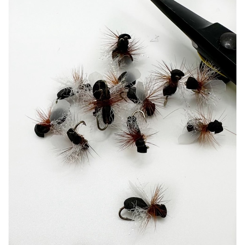 Black Flying Ant Foam|14|16|18