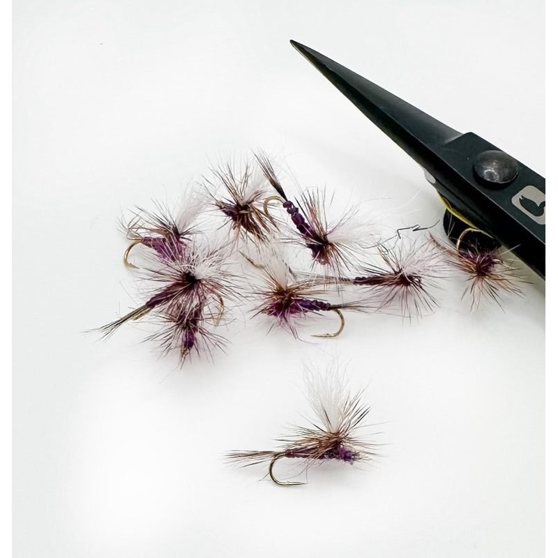 Purple Haze|14|16|18