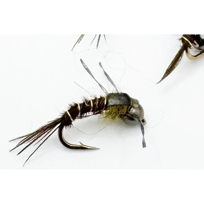 Olive Gunslinger||16||18