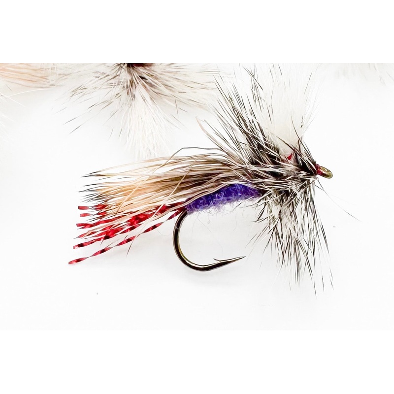 Purple Fatal Attractor||10