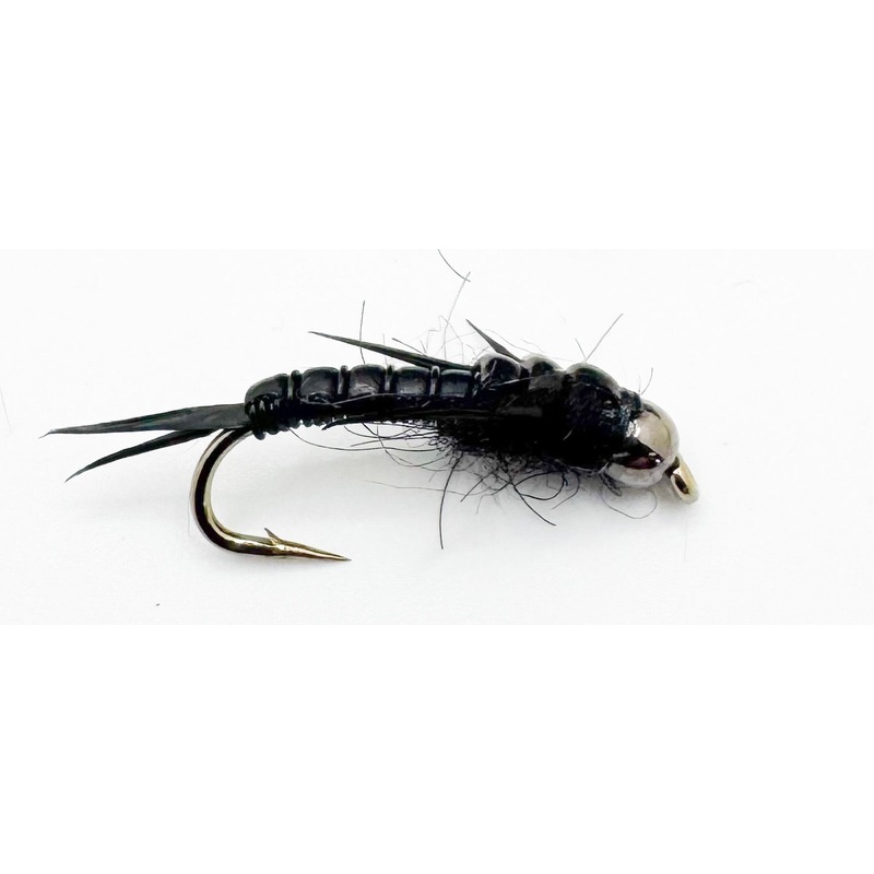 BH Black Rolling Stone||10