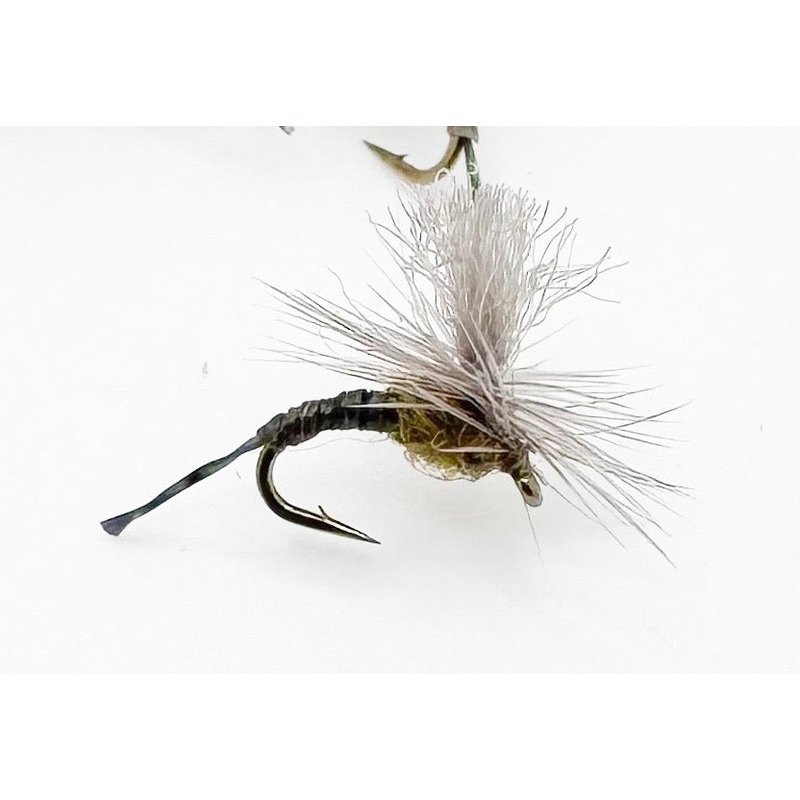 Parachute BWO Emerger||18