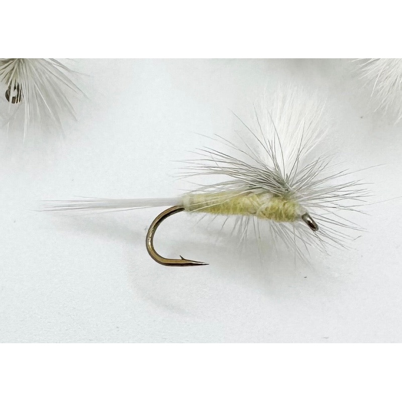 Parachute PMD||16||18