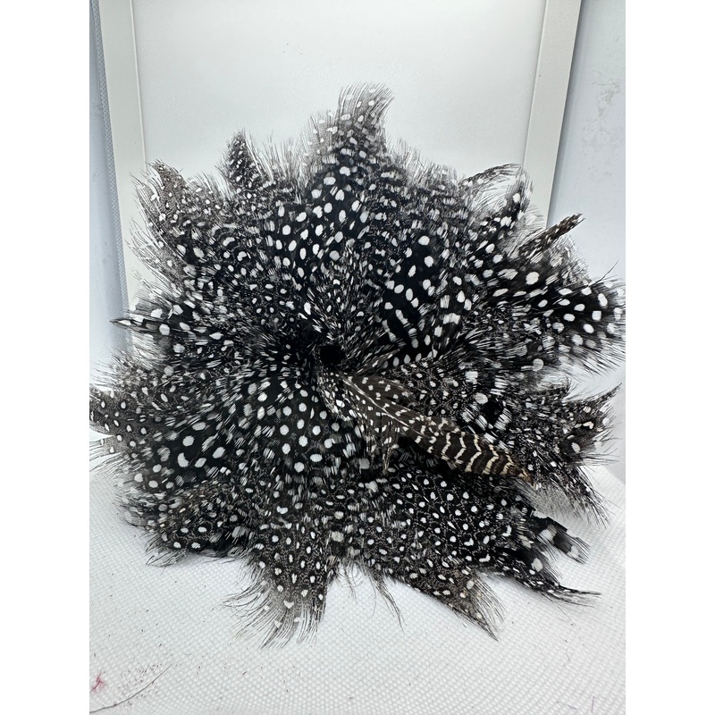 Mate Series Stainless Steel Rod  Cup Holder Threaded Backing Plate [CBPT]