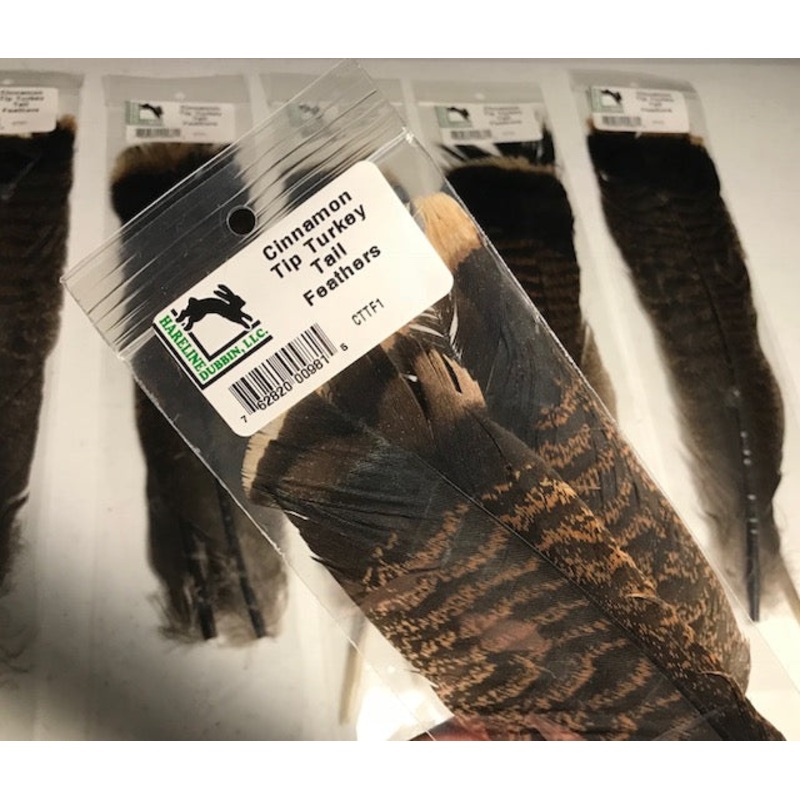 Cinnamon Tip Turkey Tail Feathers (2 Pack)