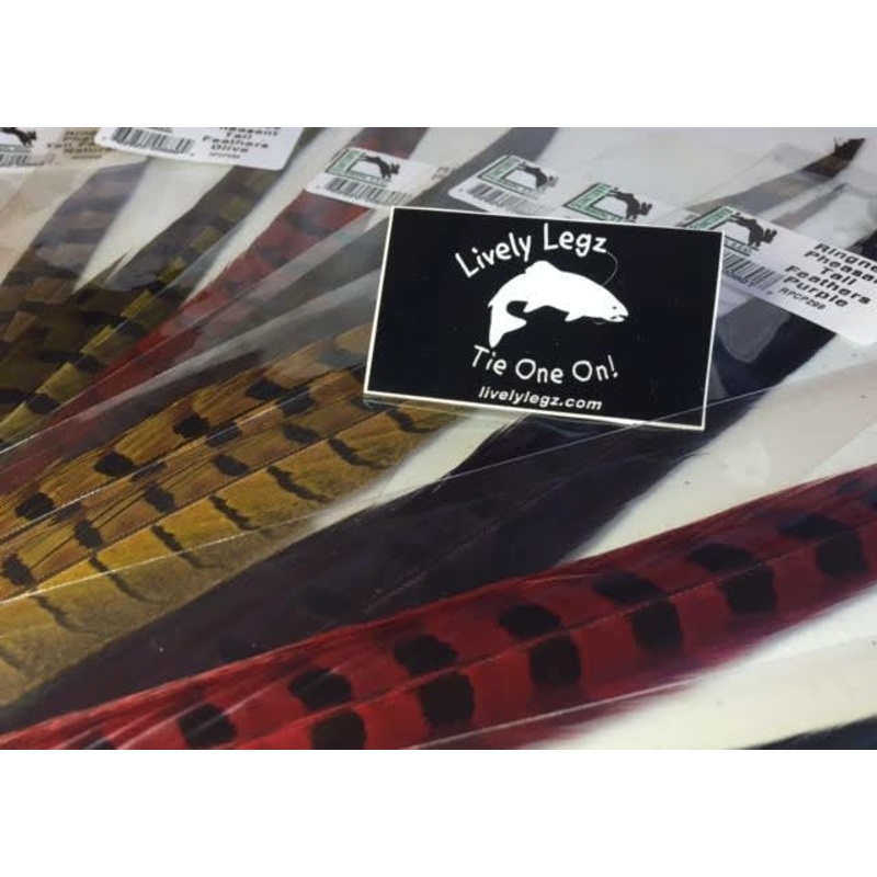 Ringneck Pheasant Tail Feathers (2 Pack)