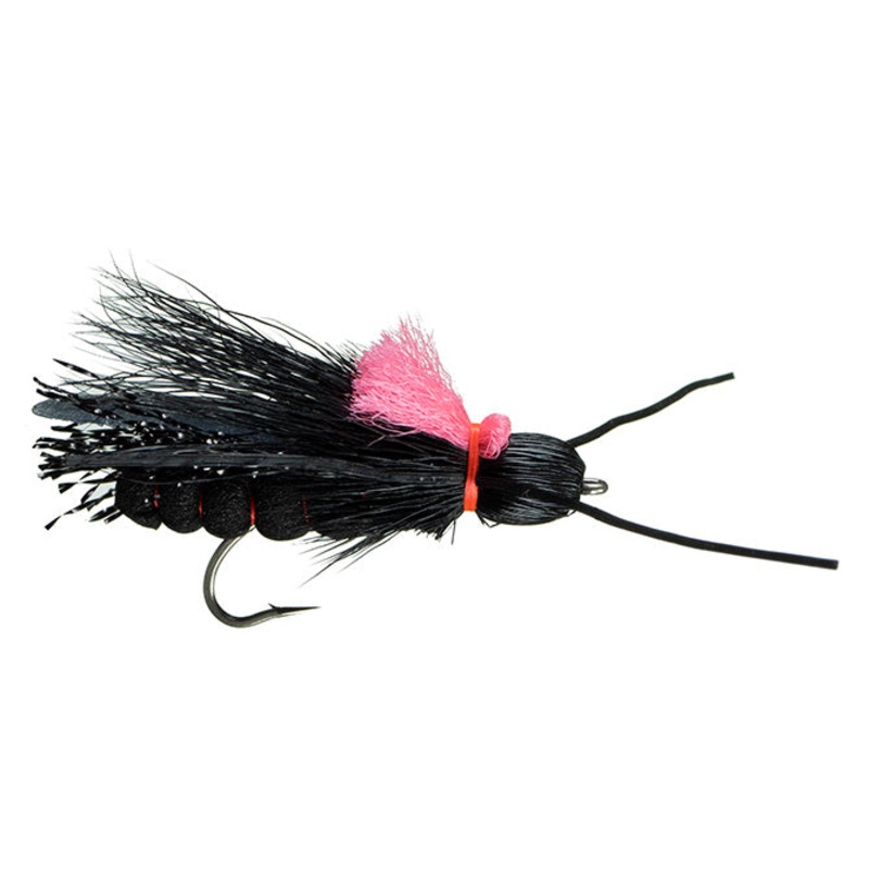 Rogue River Stone (6-pack)|Dark Salmonfly|Golden Stone|Salmonfly|Skwala||06||10||12