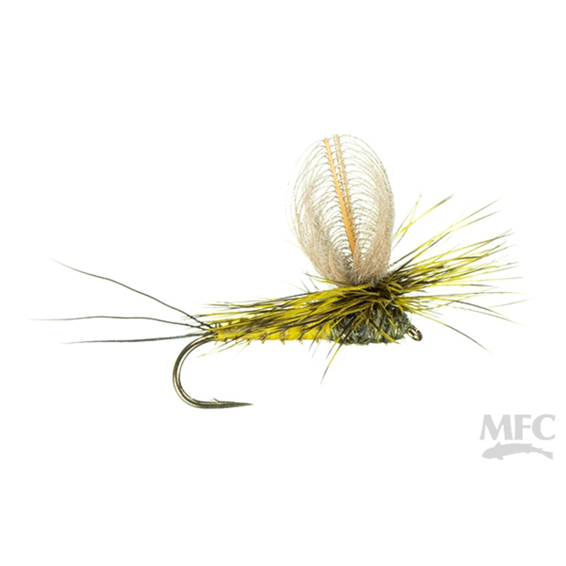 CDC Loop Wing Dun (6-pack)||12||14||16||18|Green Drake|Grey Drake|Mahogany|PMD|BWO