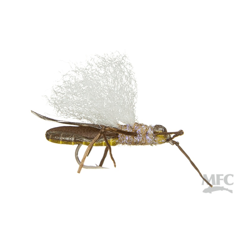 True Stonefly Flies- Winged (6-pack)