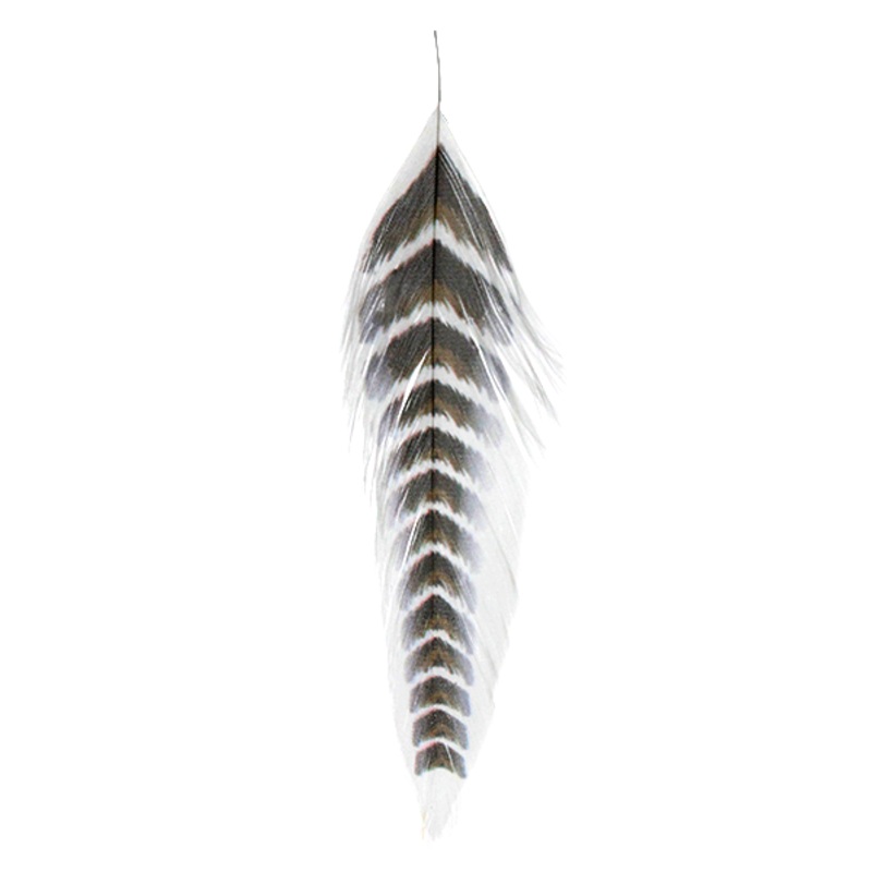 MFC Galloup’s Fish Feathers- Grizzled