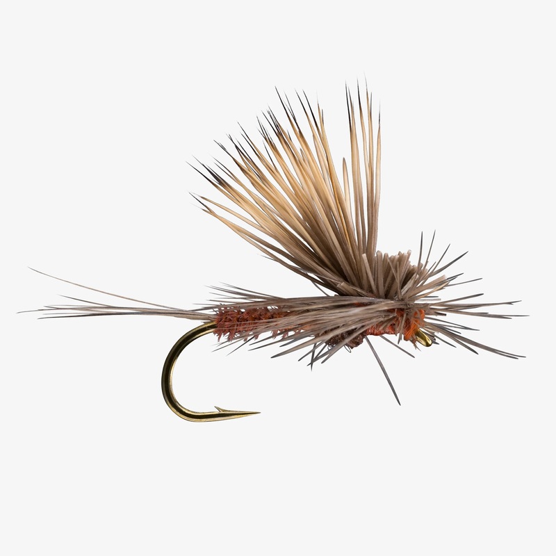 Tilt Wing Dun (6-Pack)|BWO|Mahogany|PMD||18||14||16