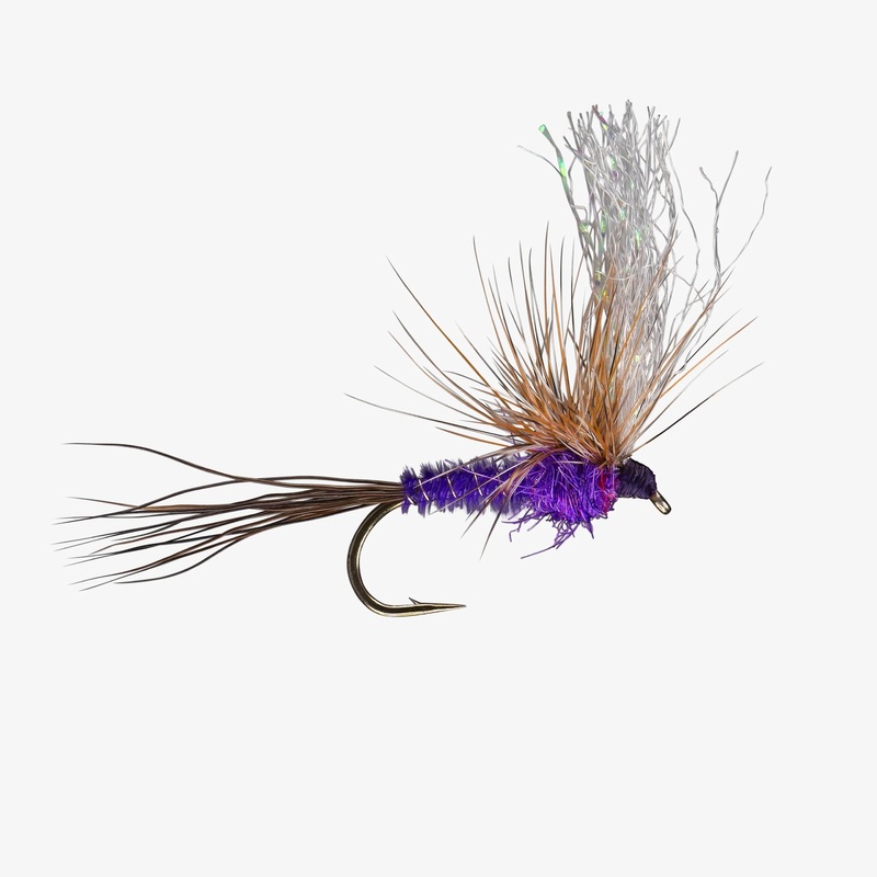 Split Flag (6-Pack)|Purple|PMD|BWO||12||14||16||18||20