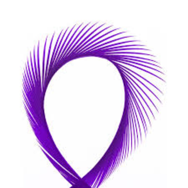 SHOR GOOSE BIOTS|Purple|Bright Yellow|Sulphur Orange|Black|White|Blue Dun|Brown|Red|Green|Golden Olive