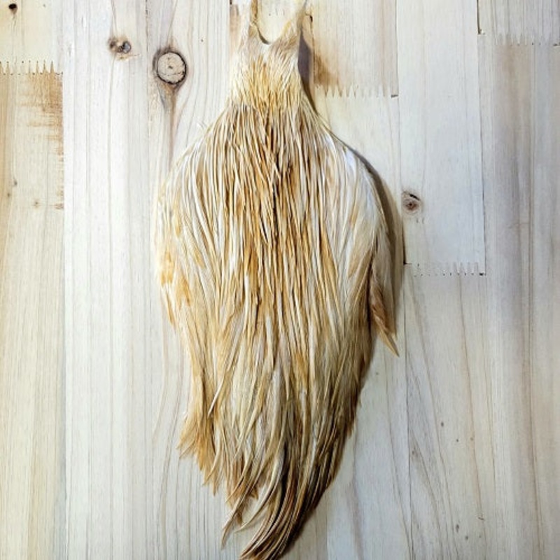 METZ #1 COCK NECK – LIGHT GINGER