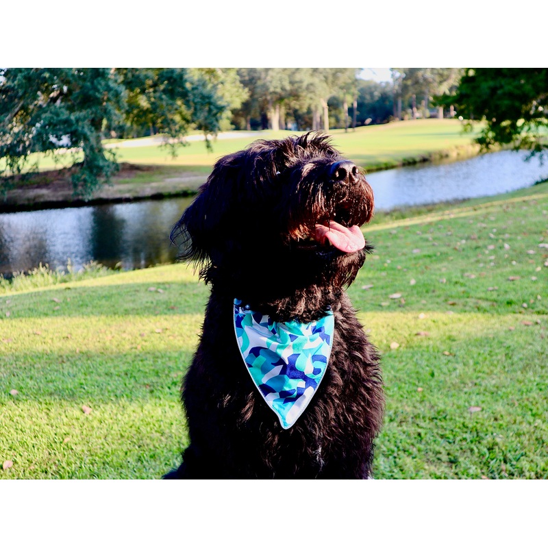 Wingo Bernie Bandana|Select pattern|Wingo Mosaic|Baja Bars|Salt Flats|Fall Forest