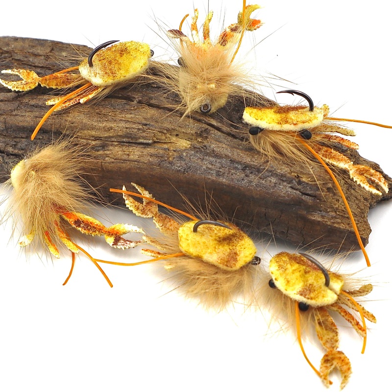 French Toast Crab|Tan/Brown