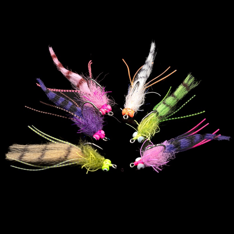 BackCast Creeper XL  Finatics Fly Company