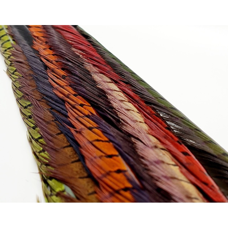 Cock Pheasant Tail Feather|Fiery Brown|Black|Orange|Claret|Natural|Red|Olive|Golden Olive
