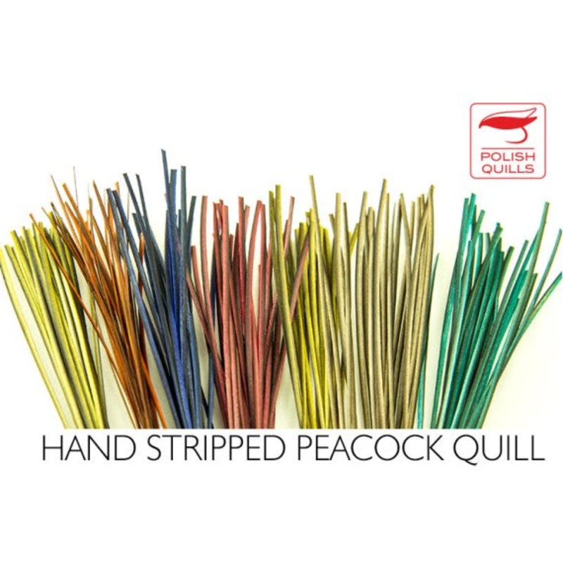 Polish Quills Hand Stripped Quillls