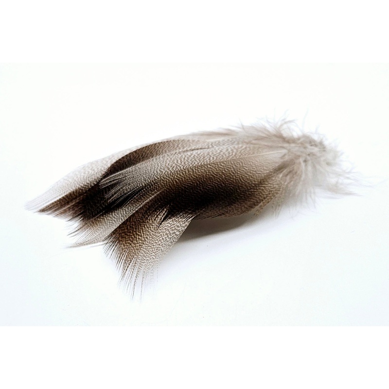 SHOR Fishing – Bronze Mallard Shoulder Feather Large