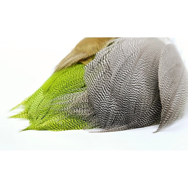 SHOR Fishing –  BRONZE MALLARD SPEY FEATHERS