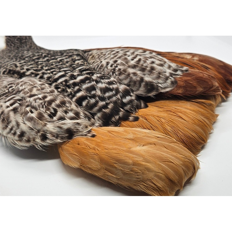 Whiting Farms 4Bs Hen Cape|Variant 2|Variant 6|Dun Splash 1|Dun Splash 2|Medium Ginger 1|Black 1|Black 2|Black 3|Black 4|Grizzly 1|Grizzly 2