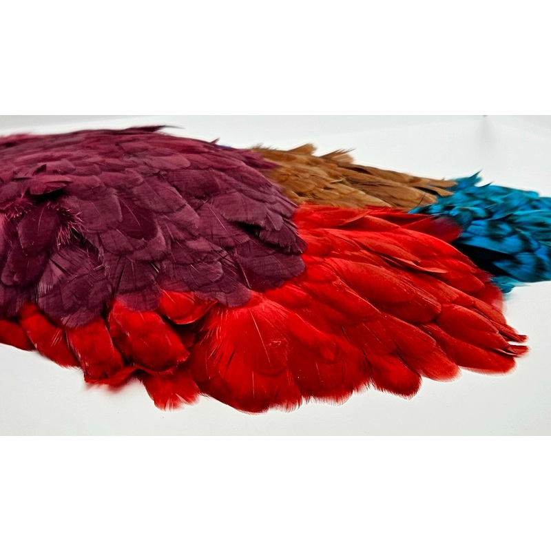 Whiting Farms 4Bs Hen Saddle|White Dyed Orange 2|Grizzly Dyed Purple 1|Grizzly Dyed Purple 2|White Dyed Claret 1|White Dyed Claret 2|White Dyed Red 1|White Dyed Red 2