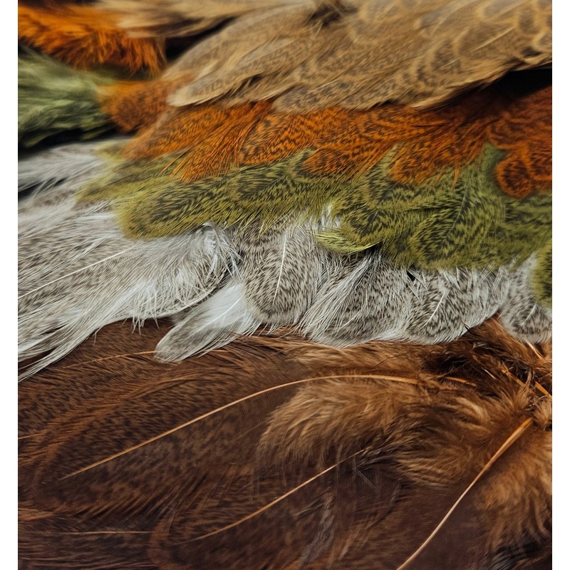 Whiting Farms – Brahma Hen Soft Hackle/Chickabou