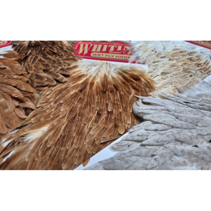 Whiting Farms – Hen Saddle|Unique Variant 1|Brown 1|Brown 2|White 1|Honey Dun 1|Honey Dun 2|Light Ginger 1|Light Ginger 2|Medium Ginger 1|Pale Watery Dun 1