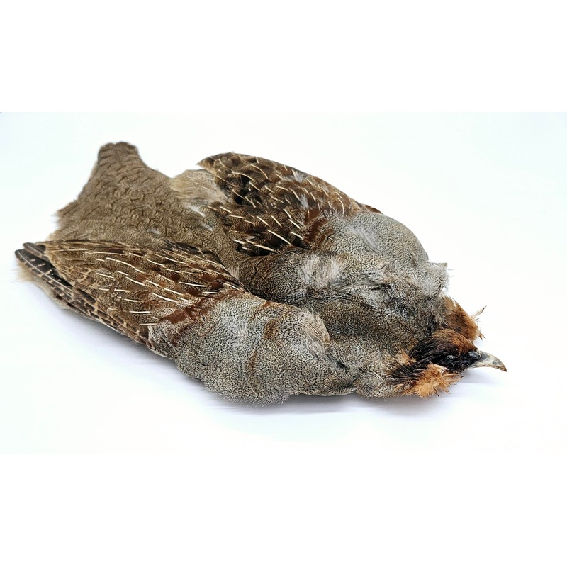 Veniard English Grey Partridge Skin