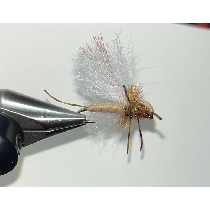 Flapping Foam Stone|8|10|Tan|yellow