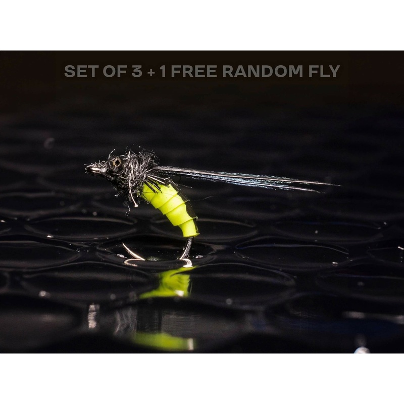 3 Caddis pupa|Barbed size 12|Barbed size 16|Barbed size 18|Barbed size 14|Barbed size 10|Barbless size 14|Barbless size 10|Barbless size 16|Barbless size 12|Barbless size 18