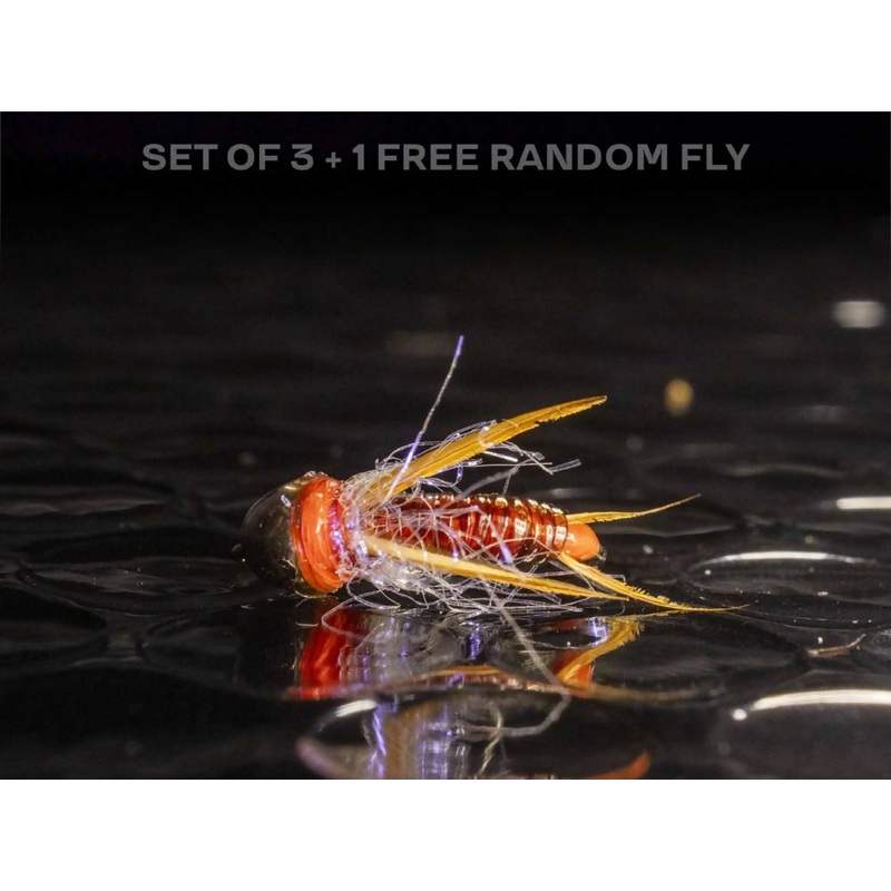 3 egg laying prince nymphs + 1 FREE random fly