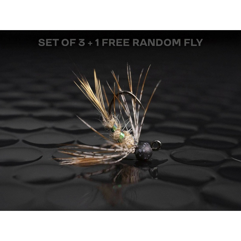 3 euro nymphs + 1 FREE random fly