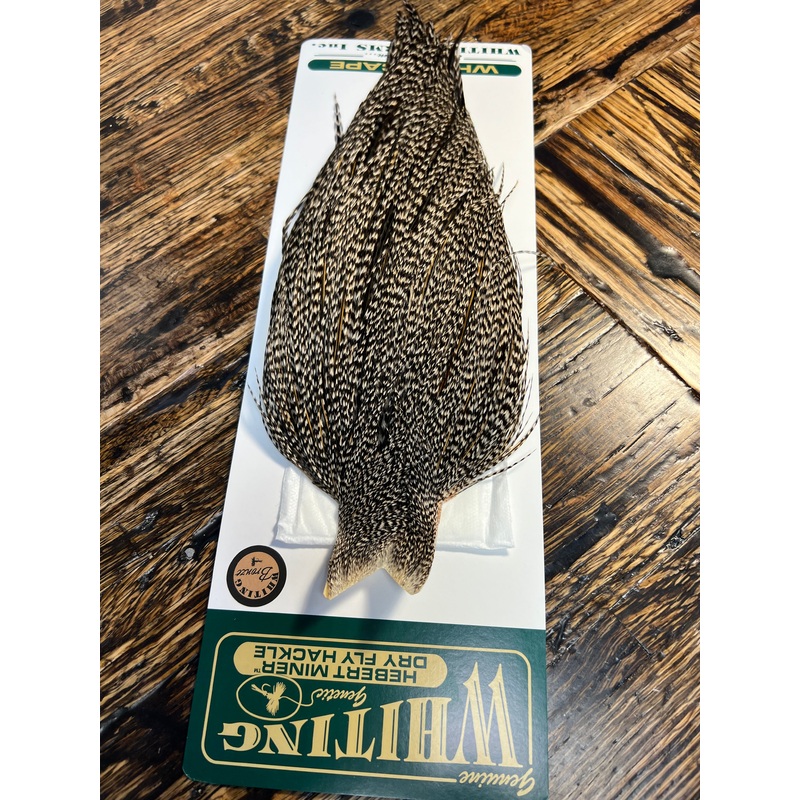 Hebert Bronze Grade Cape, Grizzly Variant