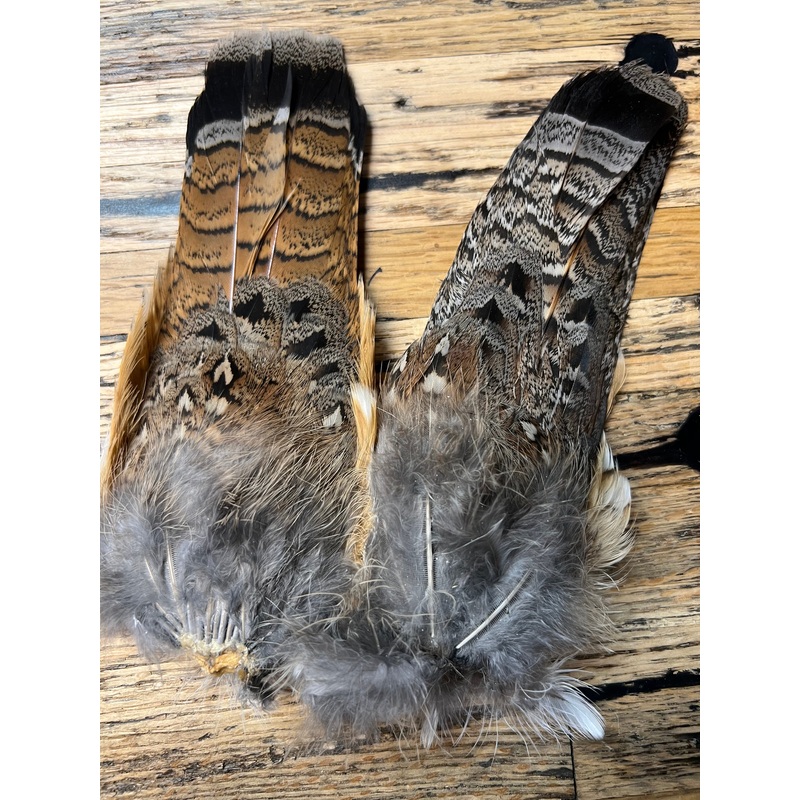 Grouse Tails|Red Phase|Gray Phase