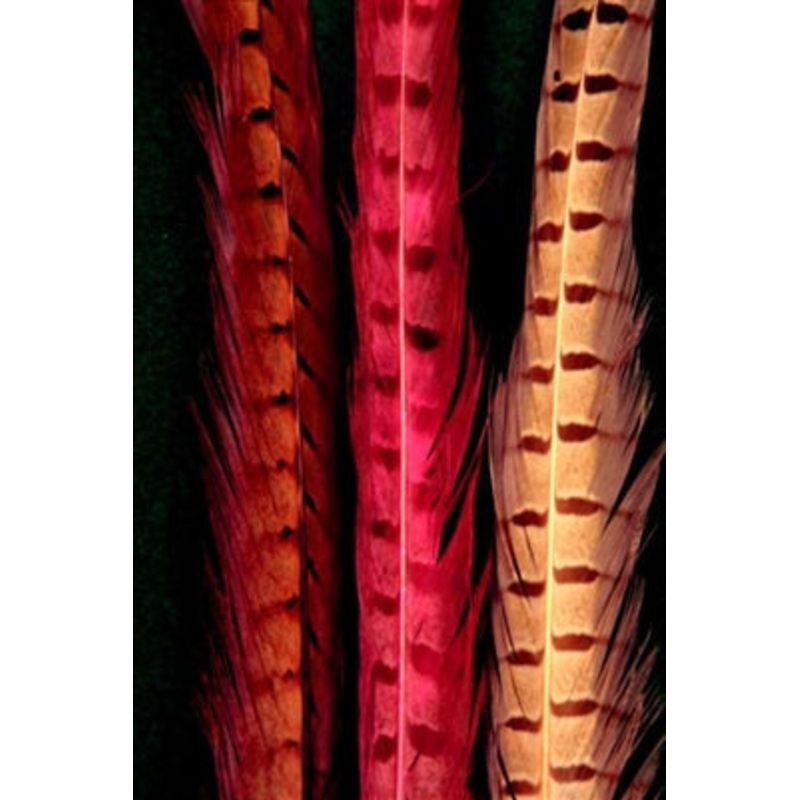 Cascade Pheasant Tail Feathers